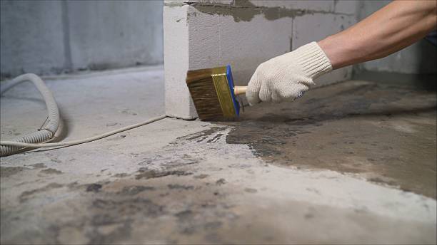 Top rated local Interior Drainage System specialists in McDonough, GA